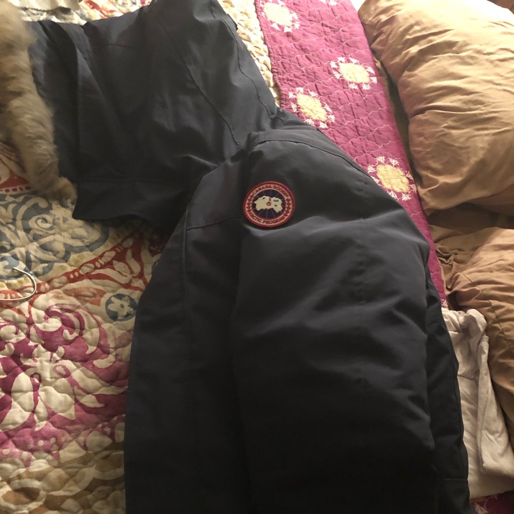 Canada goose